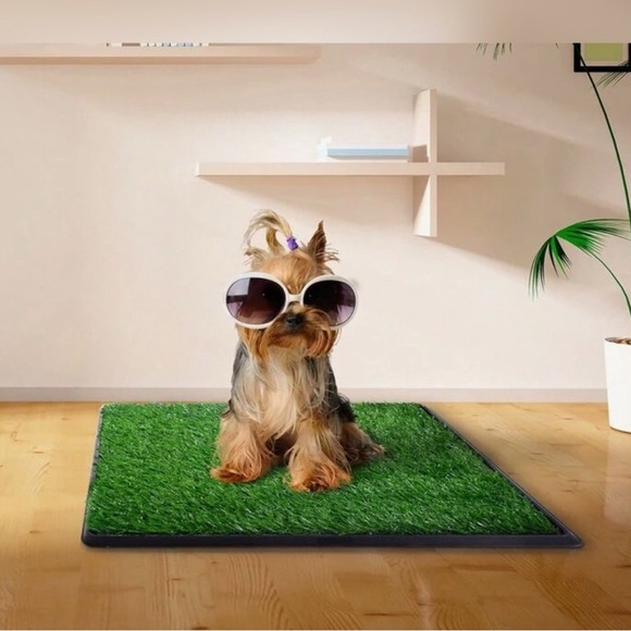 SHEIN Other - Dog Grass Mat for potty training
